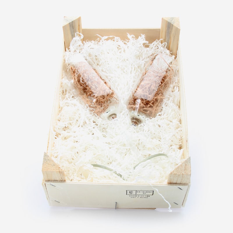HAYLOVIU copas GRABADAS caja