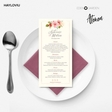 minuta HAYLOVIU atenea