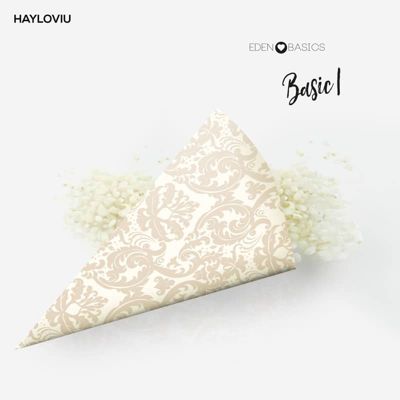 cono arroz HAYLOVIU basic1