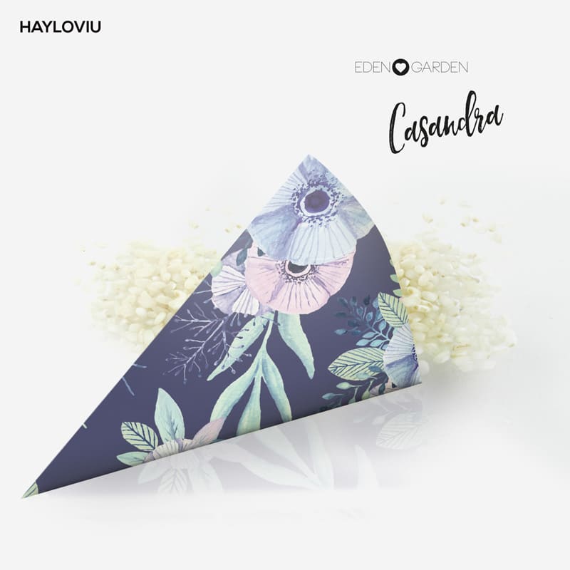 cono arroz HAYLOVIU casandra