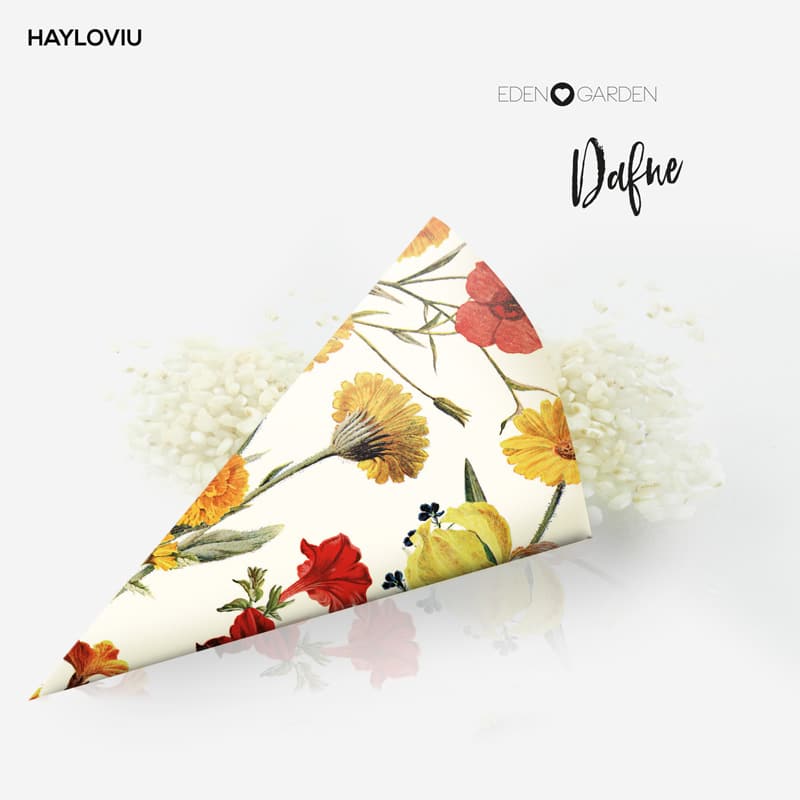 cono arroz HAYLOVIU dafne