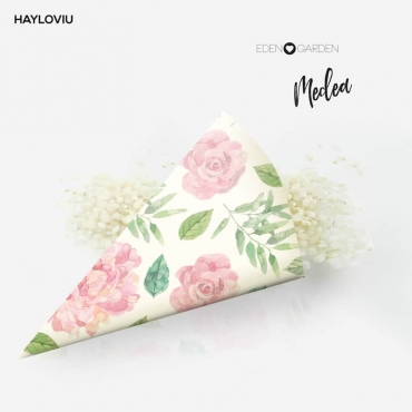 cono arroz HAYLOVIU medea
