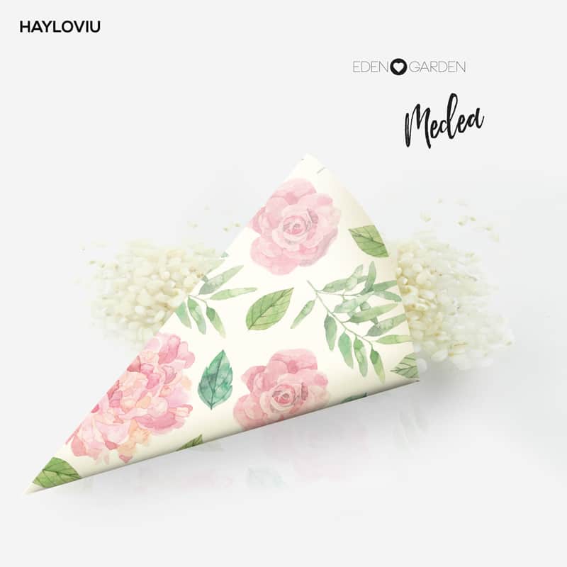 cono arroz HAYLOVIU medea