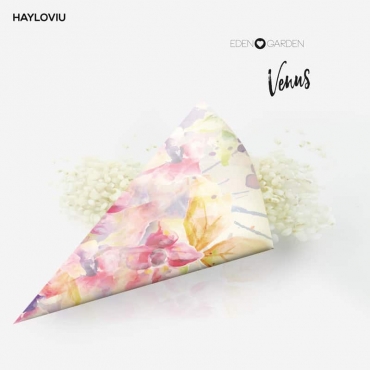 cono arroz HAYLOVIU venus